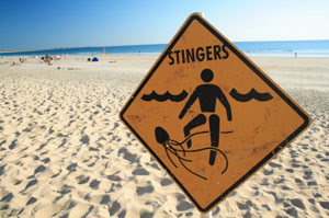 Jellyfish Warning Sign